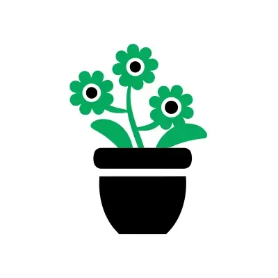 Flower Plants