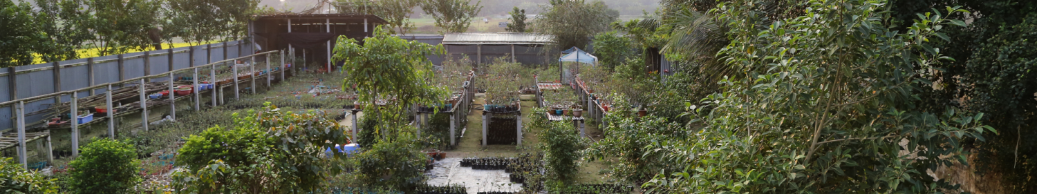 Garden.com.bd offer