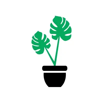 Indoor Plants