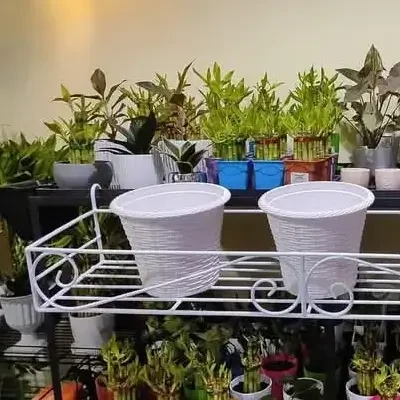 Metal Grill Rack