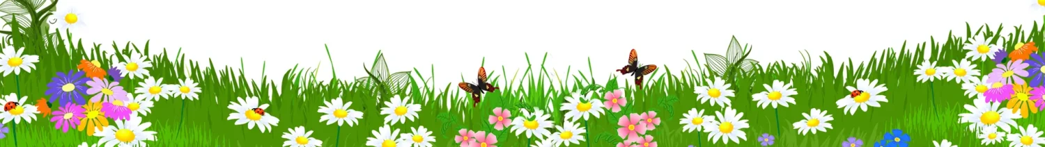 Garden.com.bd offer